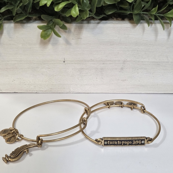 Alex and Ani Jewelry - ALEX AND ANI "TURN TO PAGE 394" BUNDLE